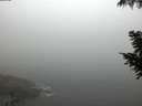 ./images/koeye/fitz-hugh/20200904/fitz-hugh20200904_064001.jpg