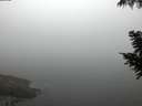 ./images/koeye/fitz-hugh/20200904/fitz-hugh20200904_064502.jpg