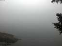 ./images/koeye/fitz-hugh/20200904/fitz-hugh20200904_065002.jpg