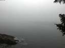 ./images/koeye/fitz-hugh/20200904/fitz-hugh20200904_065502.jpg