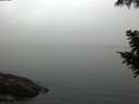 ./images/koeye/fitz-hugh/20200904/fitz-hugh20200904_070502.jpg