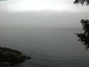 ./images/koeye/fitz-hugh/20200904/fitz-hugh20200904_071002.jpg