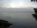 ./images/koeye/fitz-hugh/20200904/fitz-hugh20200904_071502.jpg
