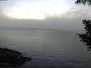 ./images/koeye/fitz-hugh/20200904/fitz-hugh20200904_072002.jpg