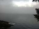 ./images/koeye/fitz-hugh/20200904/fitz-hugh20200904_072502.jpg