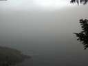 ./images/koeye/fitz-hugh/20200904/fitz-hugh20200904_073502.jpg