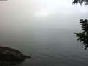 ./images/koeye/fitz-hugh/20200904/fitz-hugh20200904_074501.jpg