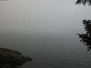 ./images/koeye/fitz-hugh/20200904/fitz-hugh20200904_075001.jpg