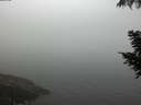 ./images/koeye/fitz-hugh/20200904/fitz-hugh20200904_075501.jpg