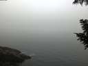 ./images/koeye/fitz-hugh/20200904/fitz-hugh20200904_080001.jpg