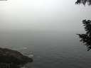 ./images/koeye/fitz-hugh/20200904/fitz-hugh20200904_081001.jpg