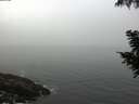 ./images/koeye/fitz-hugh/20200904/fitz-hugh20200904_081501.jpg