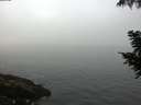 ./images/koeye/fitz-hugh/20200904/fitz-hugh20200904_082001.jpg