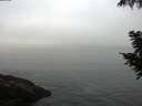 ./images/koeye/fitz-hugh/20200904/fitz-hugh20200904_082501.jpg