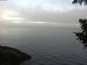 ./images/koeye/fitz-hugh/20200904/fitz-hugh20200904_083501.jpg