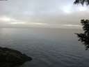 ./images/koeye/fitz-hugh/20200904/fitz-hugh20200904_084001.jpg