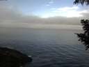 ./images/koeye/fitz-hugh/20200904/fitz-hugh20200904_084501.jpg