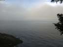 ./images/koeye/fitz-hugh/20200904/fitz-hugh20200904_085001.jpg