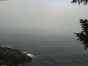 ./images/koeye/fitz-hugh/20200904/fitz-hugh20200904_085501.jpg