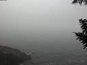 ./images/koeye/fitz-hugh/20200904/fitz-hugh20200904_091001.jpg