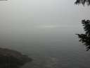 ./images/koeye/fitz-hugh/20200904/fitz-hugh20200904_091501.jpg