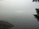 ./images/koeye/fitz-hugh/20200904/fitz-hugh20200904_092001.jpg
