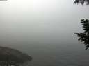 ./images/koeye/fitz-hugh/20200904/fitz-hugh20200904_092501.jpg