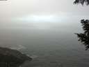 ./images/koeye/fitz-hugh/20200904/fitz-hugh20200904_093501.jpg