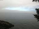 ./images/koeye/fitz-hugh/20200904/fitz-hugh20200904_094002.jpg