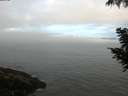 ./images/koeye/fitz-hugh/20200904/fitz-hugh20200904_094501.jpg