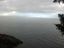 ./images/koeye/fitz-hugh/20200904/fitz-hugh20200904_095002.jpg