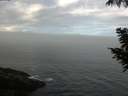 ./images/koeye/fitz-hugh/20200904/fitz-hugh20200904_095502.jpg