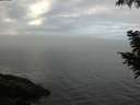 ./images/koeye/fitz-hugh/20200904/fitz-hugh20200904_100002.jpg
