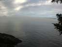 ./images/koeye/fitz-hugh/20200904/fitz-hugh20200904_100502.jpg