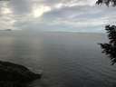 ./images/koeye/fitz-hugh/20200904/fitz-hugh20200904_101002.jpg