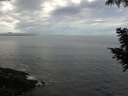 ./images/koeye/fitz-hugh/20200904/fitz-hugh20200904_101502.jpg