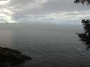 ./images/koeye/fitz-hugh/20200904/fitz-hugh20200904_102002.jpg