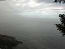 ./images/koeye/fitz-hugh/20200904/fitz-hugh20200904_102502.jpg