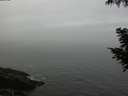 ./images/koeye/fitz-hugh/20200904/fitz-hugh20200904_103502.jpg