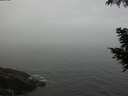 ./images/koeye/fitz-hugh/20200904/fitz-hugh20200904_104002.jpg