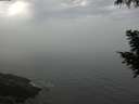 ./images/koeye/fitz-hugh/20200904/fitz-hugh20200904_104502.jpg