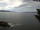 ./images/koeye/fitz-hugh/20200904/fitz-hugh20200904_114501.jpg