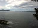 ./images/koeye/fitz-hugh/20200904/fitz-hugh20200904_115001.jpg