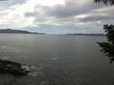 ./images/koeye/fitz-hugh/20200904/fitz-hugh20200904_120501.jpg