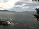 ./images/koeye/fitz-hugh/20200904/fitz-hugh20200904_122501.jpg