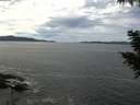 ./images/koeye/fitz-hugh/20200904/fitz-hugh20200904_124002.jpg