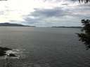 ./images/koeye/fitz-hugh/20200904/fitz-hugh20200904_124502.jpg