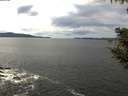 ./images/koeye/fitz-hugh/20200904/fitz-hugh20200904_135001.jpg