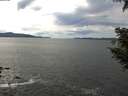 ./images/koeye/fitz-hugh/20200904/fitz-hugh20200904_135501.jpg