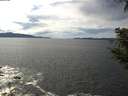 ./images/koeye/fitz-hugh/20200904/fitz-hugh20200904_141501.jpg